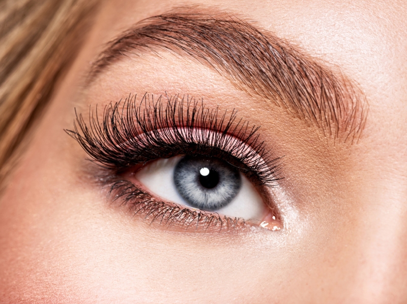 Wax, Brow, & Lashes  Cedar City, UT 